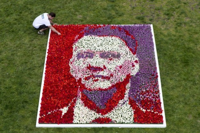 Louis Van Gaal portrait