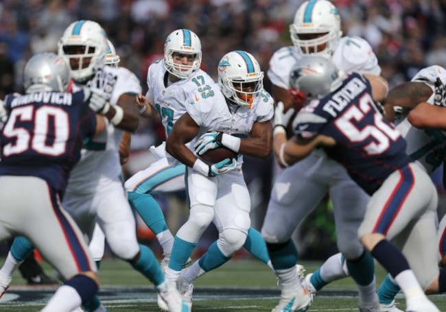 Dolphins Patriots Football