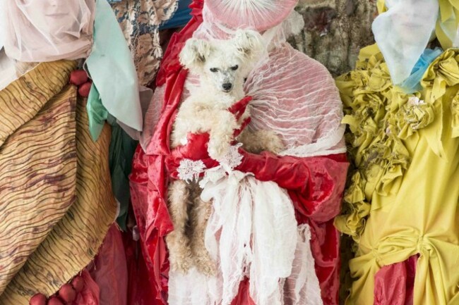 LO RES_Philip Connaughton_TARDIGRADE_Credit Luca Truffarelli_AAA0736_close crop