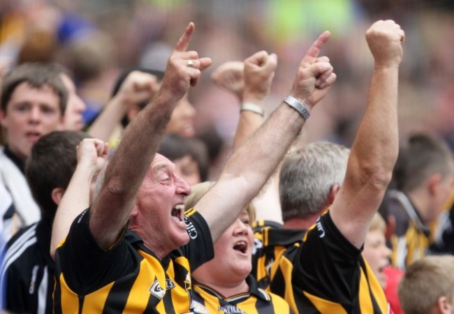 Kilkenny supporters celebrate a goal