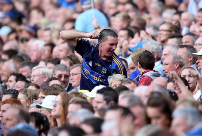 A Tipperary fan celebrates a score