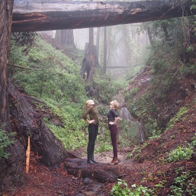 This forest situation. @karliekloss