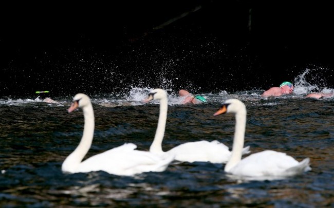 General view of competitors during the race