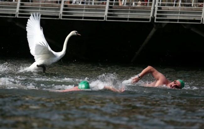 Liffey Swim