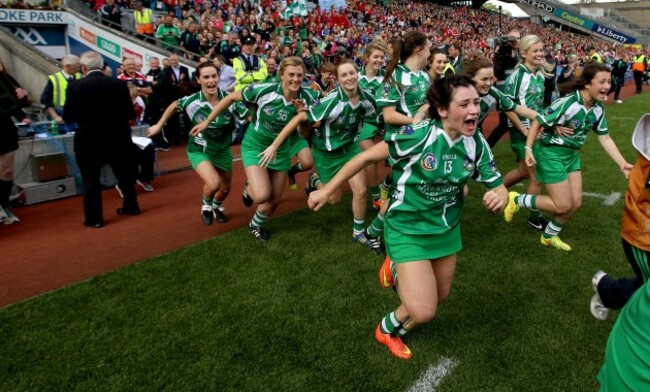 Limerick players celebrate at the final whistle