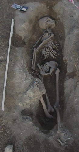 Skeleton in Mass Burial Site, Portugal