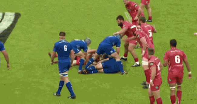 Leinster Shape Backs 1