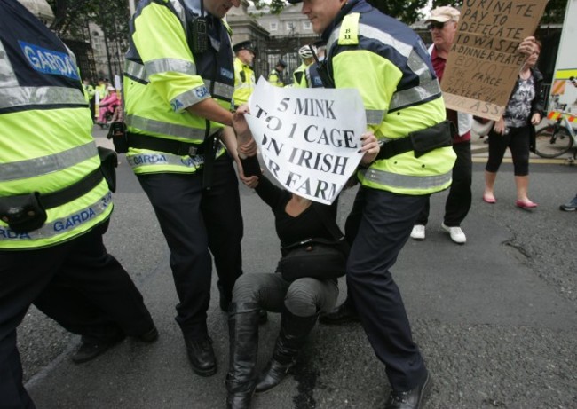 Trouble at the Dail. Protesters outside L