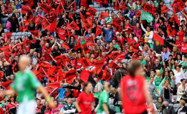 Down fans celebrates a score