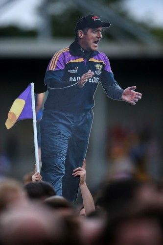 Wexford supporters celebrate on the pitch