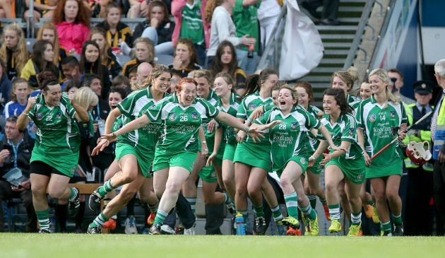 Limerick players celebrate at the final whistle