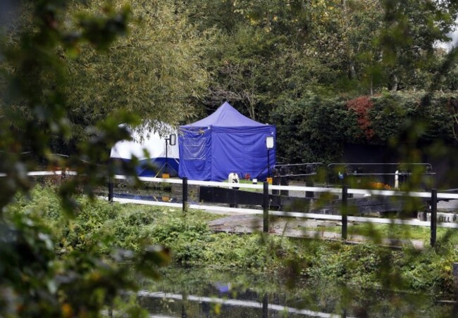 Alice Gross missing