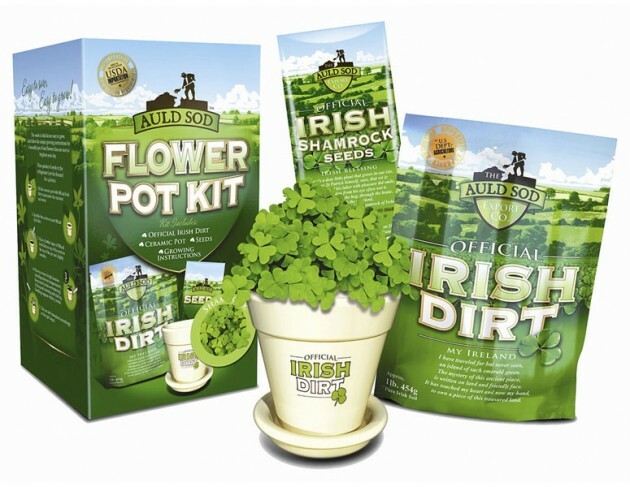 irish-dirt-shamrock-growing-kit-xl