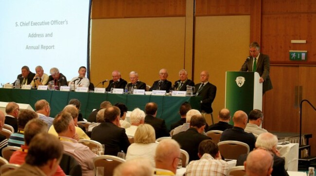 FAI CEO John Delaney 26/7/2014