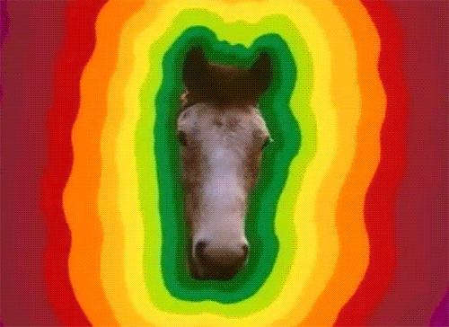 horsefaced gif