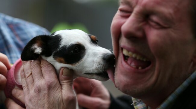 Manchester Dogs Home fire