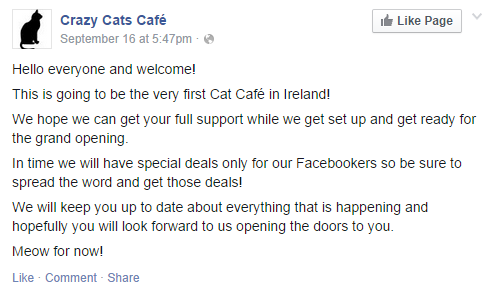 Save the date Dublin  s first cat  caf  hopes to open its 