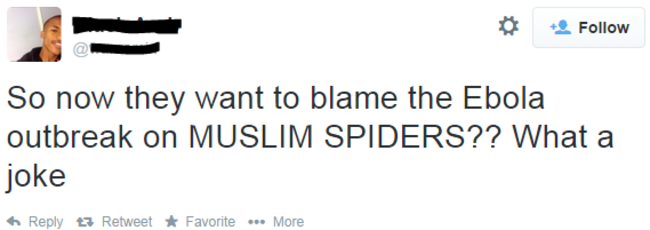 muslimspiders1