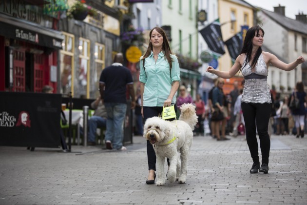 Irish Guide Dogs for the Blind. Picture Conor McCabe Photography.