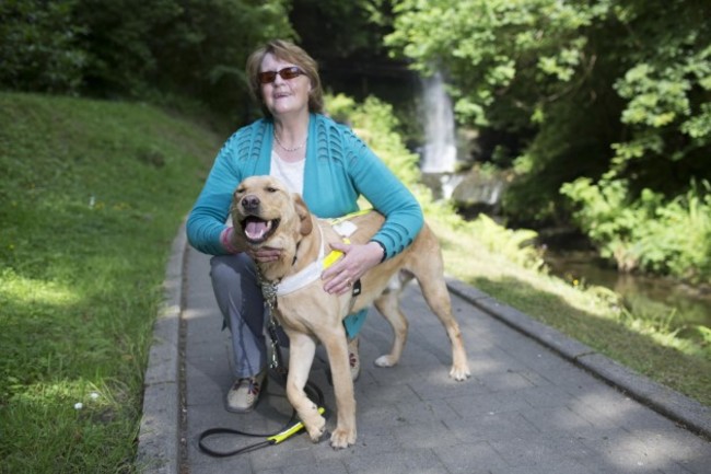 Irish Guide Dogs for the Blind. Picture Conor McCabe Photography.