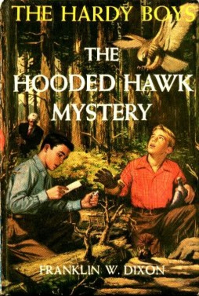 Hardy_boys_cover_34