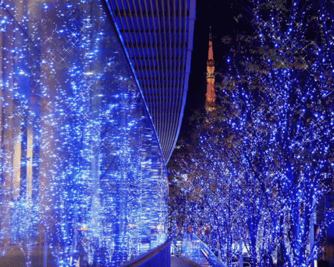 BLUE LIGHTS