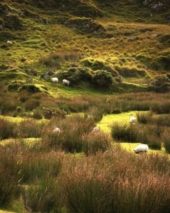 Ireland, Ring of Kerry