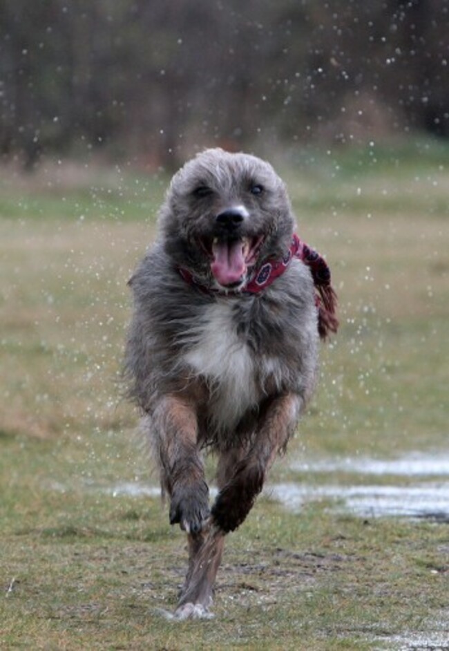 Storm hits UK