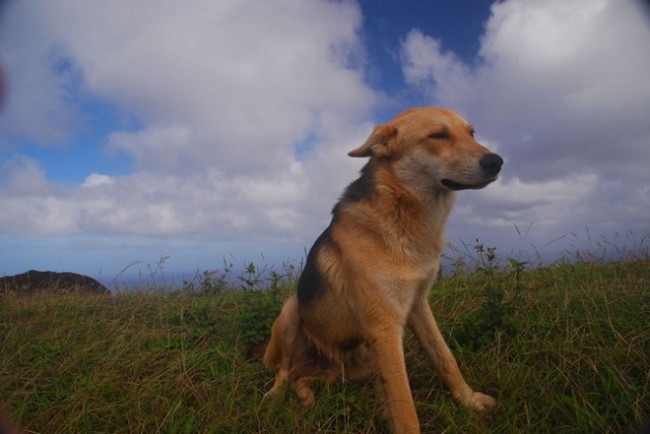 Blowing in the wind...