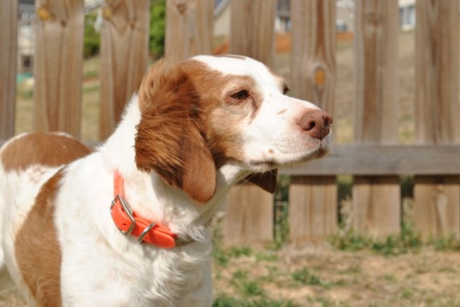 Wind in her ears