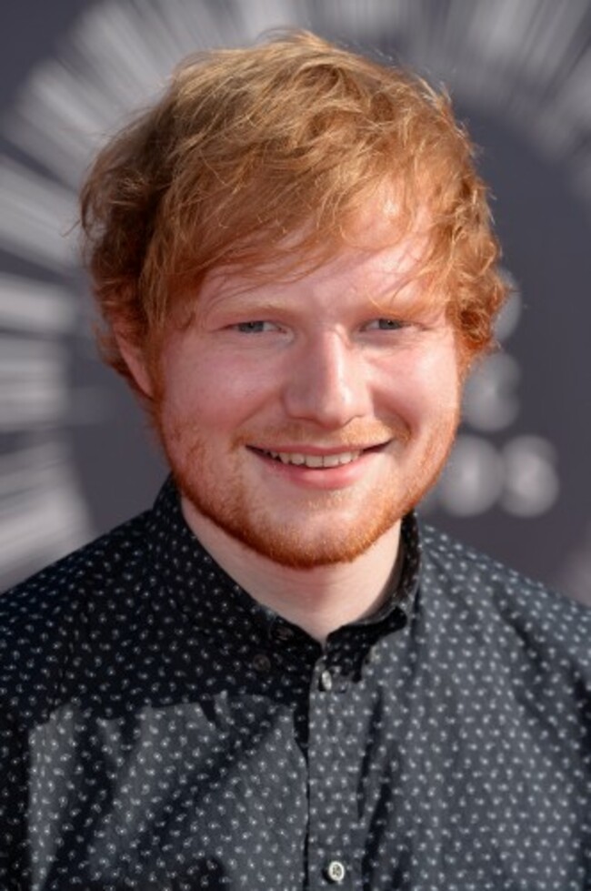 2014 MTV Video Music Awards - Arrivals - California