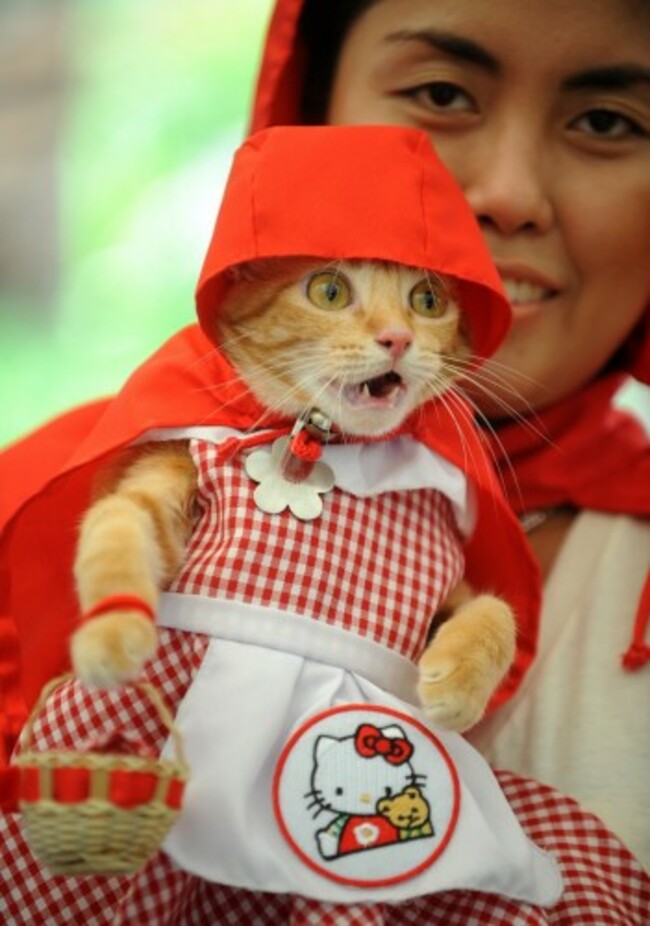 Jonna Baquillas holds her pet, a rescued