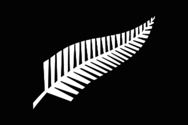 324px-Silver_fern_flag.svg