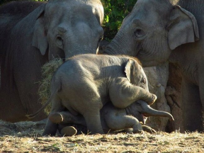 Dublin Zoo - Dublin Zoo's Photos | Facebook