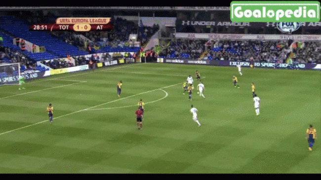 ChiefQualifiedAntbear