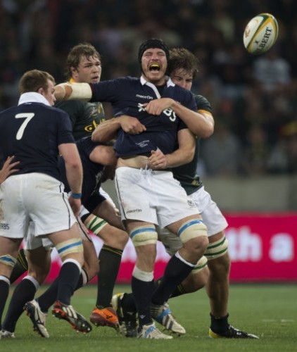 South Africa Rugby Scotland