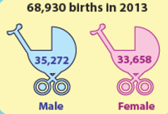 cso statistics births