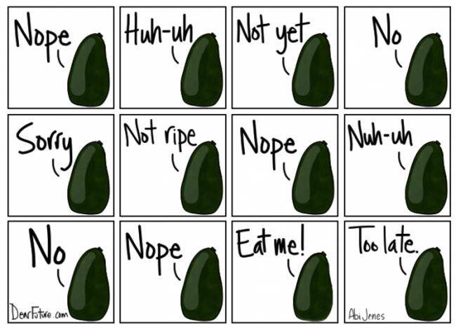 avocados