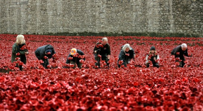 Blood Swept Lands and Seas of Red installation