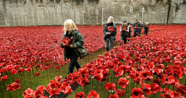 Blood Swept Lands and Seas of Red installation