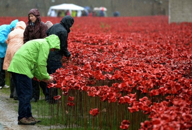 Blood Swept Lands and Seas of Red installation