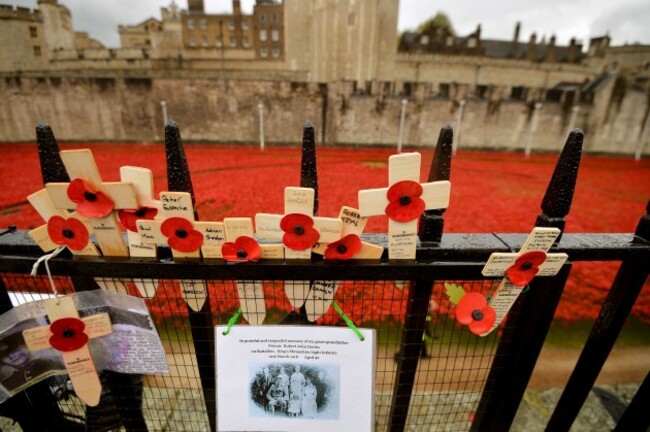 Blood Swept Lands and Seas of Red installation