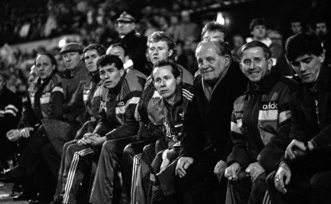 Liam Bray and the Ireland bench watch the game