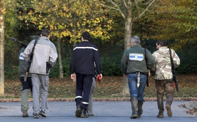 France Tiger on the Loose