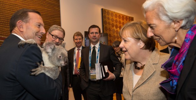 G20 leaders meet a koala