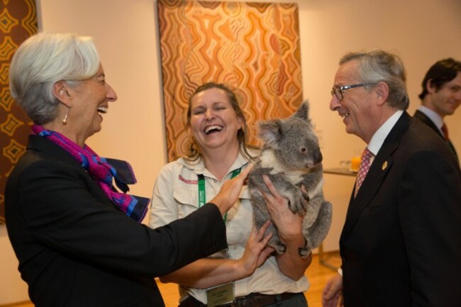 G20 leaders meet a koala