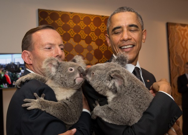 G20 leaders meet a koala