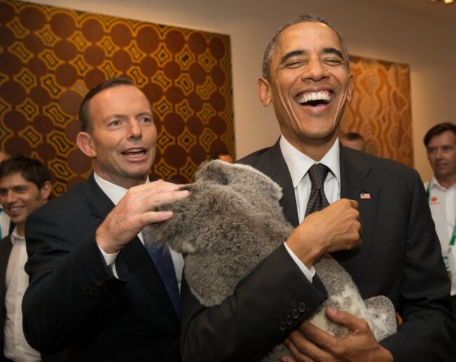 G20 leaders meet a koala