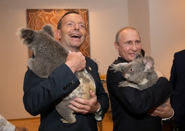 G20 leaders meet a koala