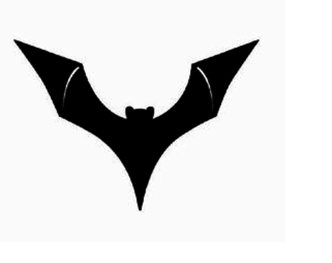 Valencia bat